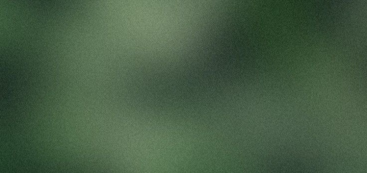 hazytats cover image