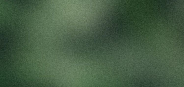 hazytats cover image