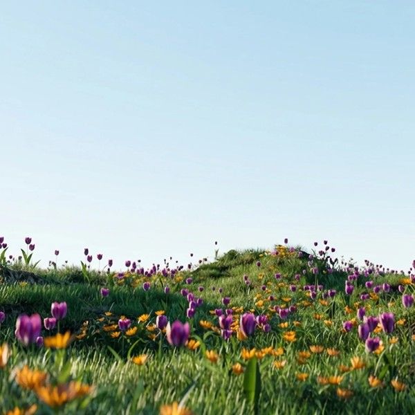 Artist Page 64dwadwa